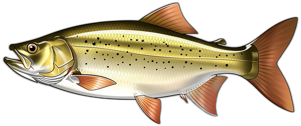 Goldener Dorado