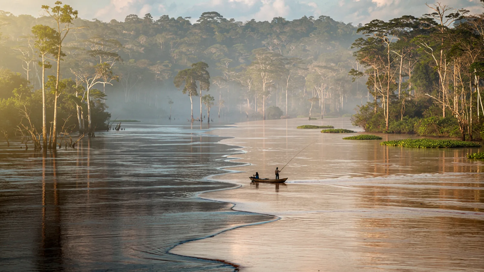 Amazonas und Rio Negro