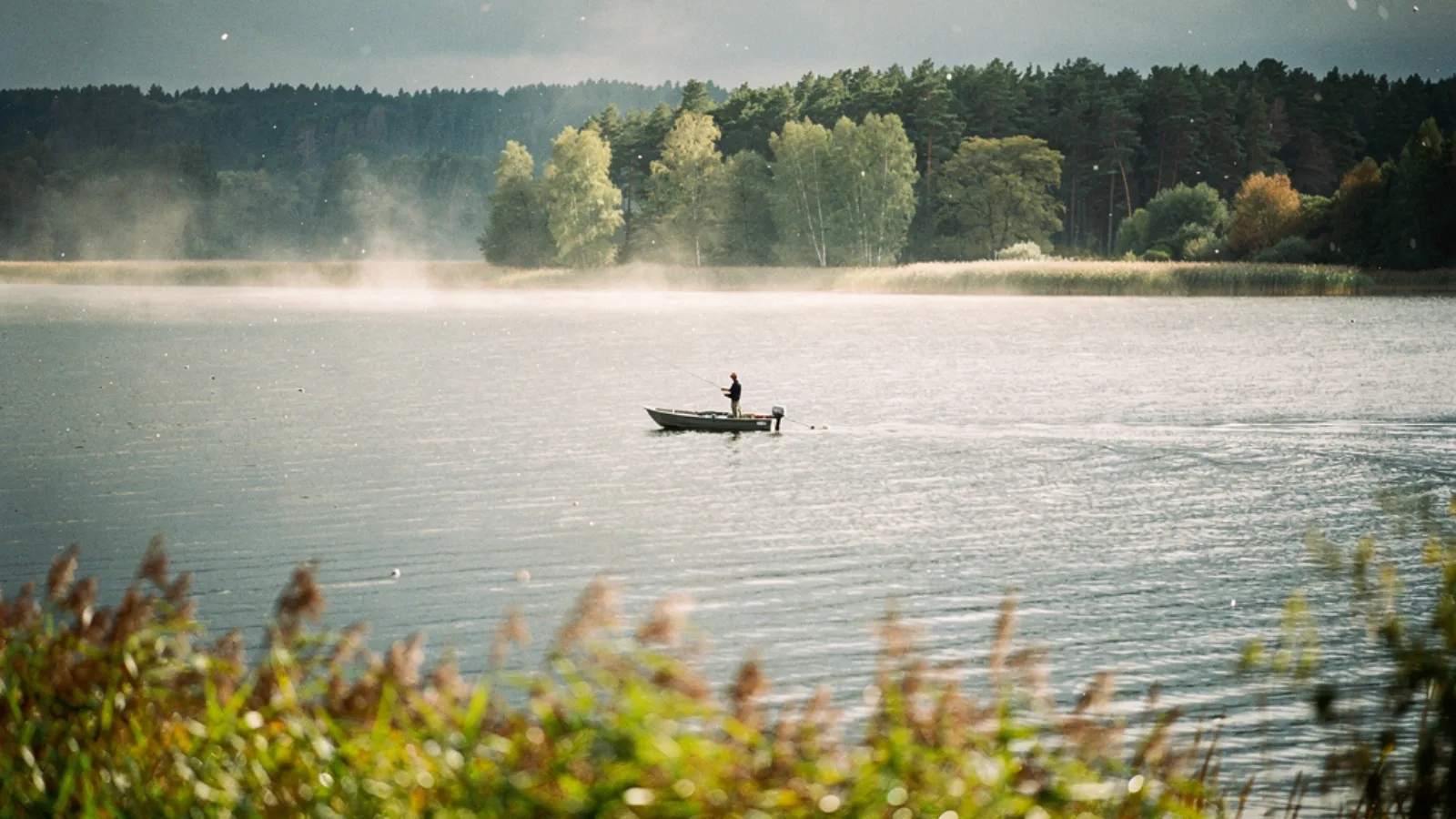 Masurische Seenplatte (Śniardwy, Mamry): Hecht, Zander, Barsch
