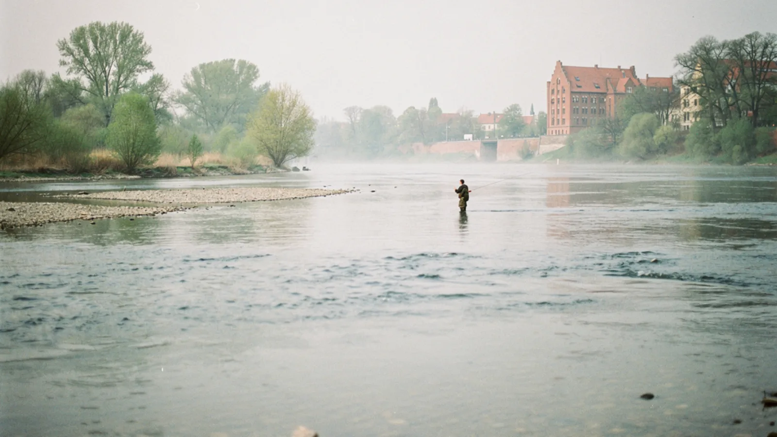 Weichsel bei Warschau/Toruń: Zander, Wels, Barbe